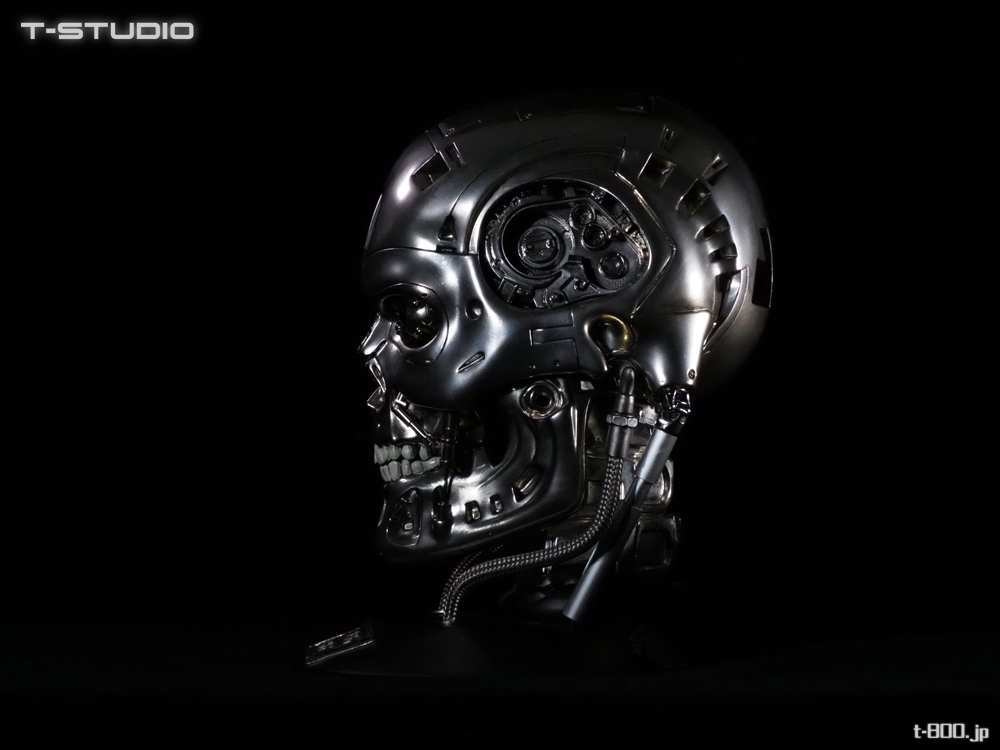 M1 1:1 vinyl kit T-STUDIO